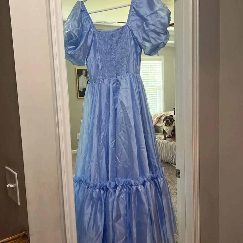 IvyCityCo Wonderland dress - Picture 4 of 6